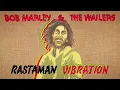 Bob Marley & The Wailers - Crazy Baldhead (Visualizer)