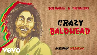 Bob Marley & The Wailers - Crazy Baldhead (Visualizer)
