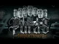 Alto Mando Sierreño - Una Explicación [Puras Complacencias 3] (Cover audio)
