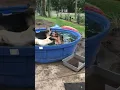 Stock pool from tractor supply