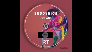 buddynice my africa original mix 