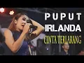 Download Lagu ISTIMEWAHH nya Lagu CINTA TERLARANG jika dibawakan PUPUT TIFFISYA Bareng IRLANDA