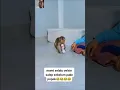 Peliharaan memang udah seperti teman buat kita ya