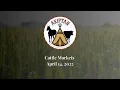 2025 Cattle Markets