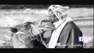 اه يا تونس شعر ولا اروع من الجنوب 2016 