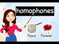 English Lesson What are HOMOPHONES Examples Usage