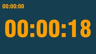 18 second timer with end alarm time elapsed and progress bar