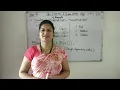 CA Class-10 Ch-3 HTML-1 Basic HTML Elements Part-4
