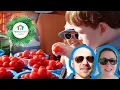 Free Activities With Kids In Naples FL