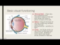 Basic Visual Processing AP Psy 2017