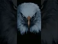 Download Lagu 📢🔇NEW  EAGLE HORN 🤬🔊《》📢 💥DJ DEMO💯😡 ‼️ FULL  COMPETITION‼️#hubli #competition #viral