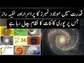 Fibonacci Series in Nature Explained Urdu Hindi