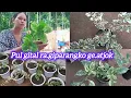 Lagu Pul o jo.ongrang napgipako maidake tarina nanga full video ko niangbo ripengrang🥰