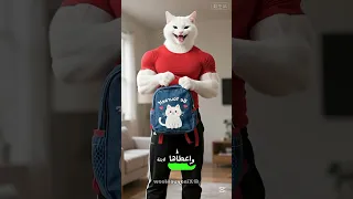 القط مياو زعلان علشان معاه شنطه وحشه 