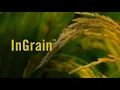 Download Lagu The Benefits of InGrain on Rice