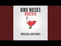 Rooster Sound Effect Ringtone
