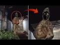 Download Lagu Pocong Wedon Depan Rumah Warga? 6 Penampakan Hantu Paling Creepy dan Seram yang Pernah Ada