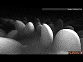 Shader Coding - Live Session 02