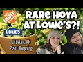 RARE HOYA AT LOWE S Plant Shopping in Littleton NH Home Depot Lowe s
