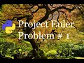 Project Euler Problem