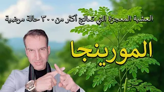فوائد المورينغا العشبة التي تعالج 300 حالة مرضية طب الخرافات وتجار المكملات الغذائية 