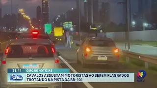 Giro de Notícias: viatura capota em perseguição, cavalos na BR-101 e PM recebe drones