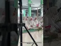Download Lagu Cinema Peringatan Maulid Nabi Muhammad SAW 1447H MAUDU