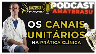 Acupuntura e MTC - Canais Unitários na Prática Clínica - Parte 01