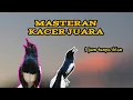Download Lagu Masteran burung kacer 1 jam full tanpa iklan | masteran kacer juara