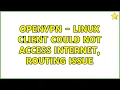 Ubuntu OpenVPN - Linux client could not access internet routing issue