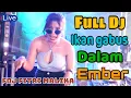 FULL DJ LAMPUNG IKAN GABUS DALAM EMBER FDJ FITRI MALIKA