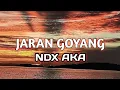 Download Lagu lagu jaRan goyang -NDX AKA-