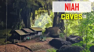 E214   From Ancient Caves to Tropical Storms   Sailing Borneo