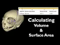 Calculating Volume Surface Area 3D Slicer Workflow