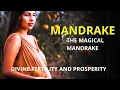 UNLOCKING THE MYSTERIES OF THE MANDRAKE FRUIT BIBLICAL REFERENCES REVEALED