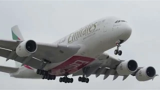 EK215 A388 A6-EEH