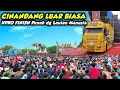Download Lagu CINANDANG LUAR BIASA‼️HPRO FINISH DI LAUTAN MANUSIA KARNAVAL CINANDANG MOJOKERTO 