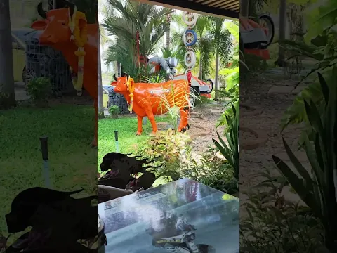 DJI Osmo Pocket 4 à prix cassé ? Codes GLG + PayPal sur AliExpress !