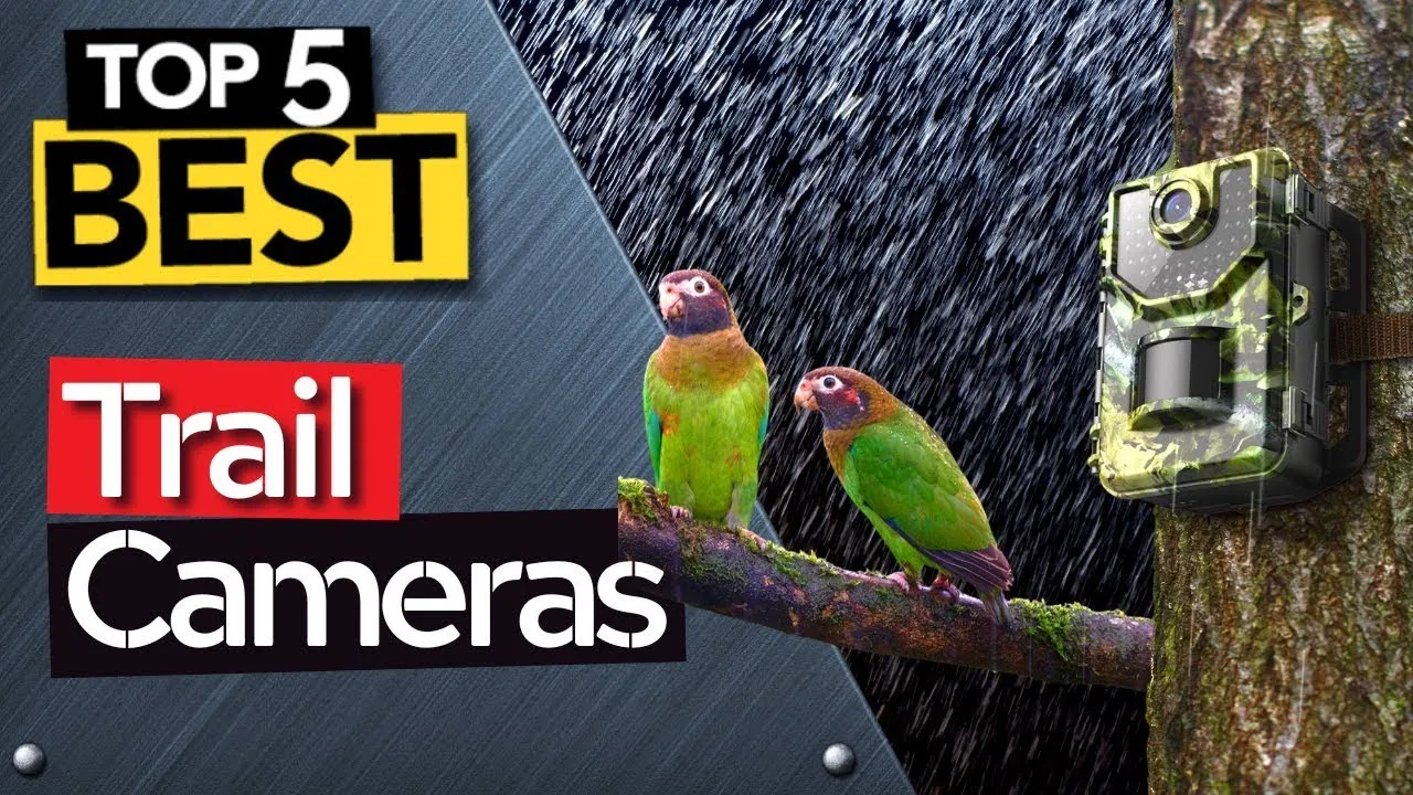 The SHARPEST Trail Cameras you will find Today!