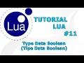 LUA TUTORIAL - Boolean Data Type