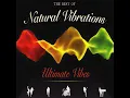Shawty - Natural Vibrations