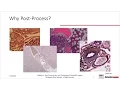 Best Practices for Post Processing of Scientific Images - Photoshop and ImageJ are n