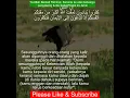 Download Lagu Surat Al Ghafir | 40:10 | Terjemahan Quran | Tilawah Al-Quran | Bacaan Al-Quran dengan terjemahan