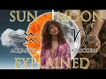 Your Astrology Explained Aquarius Sun Capricorn Moon Sun Moon Series