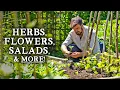 What to Intercrop with Climbing Beans to Maximize Yields In Your Permaculture Garden