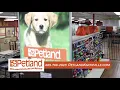 Petland Knoxville s Pets Make Life Better