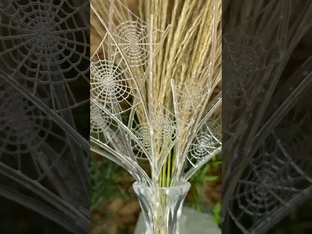Spiderweb Branches video thumbnail