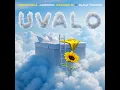 uValo (feat. Dlala Thukzin) - Thukuthela, Jazzworx & Babalwa M