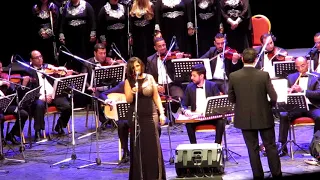 نهى حافظ قولو لعين الشمس دندنها