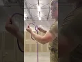 Bowline Knots